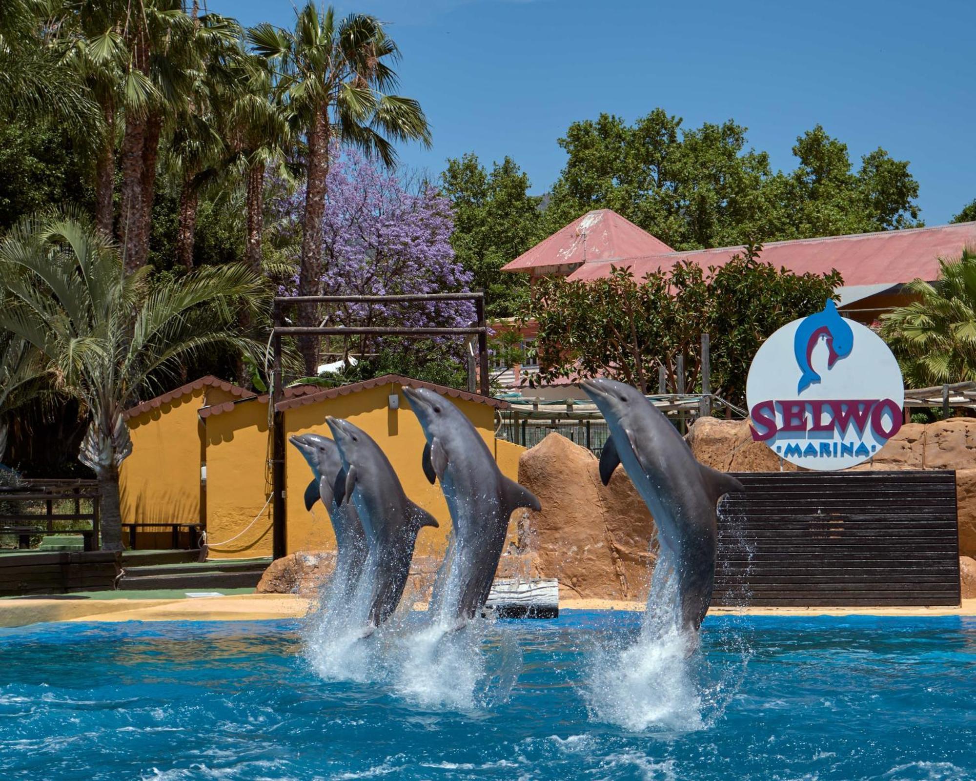 Apart With Swimming Pool Open All Year בנאלמדנה מראה חיצוני תמונה